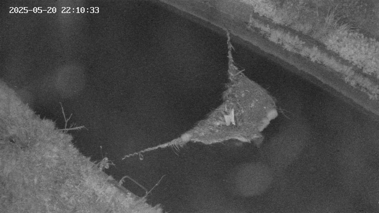 area10-20250520221034.jpg