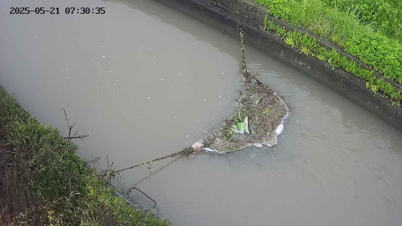 area10-20250521073036.jpg