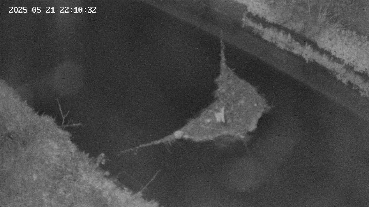 area10-20250521221033.jpg