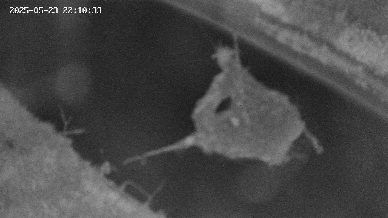 area10-20250523221034.jpg