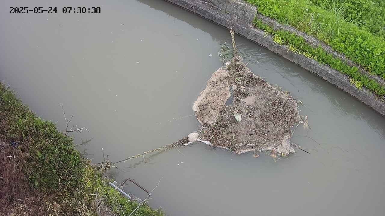 area10-20250524073038.jpg