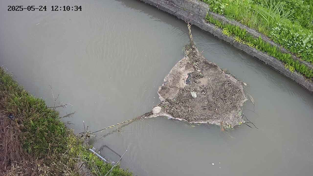 area10-20250524121034.jpg