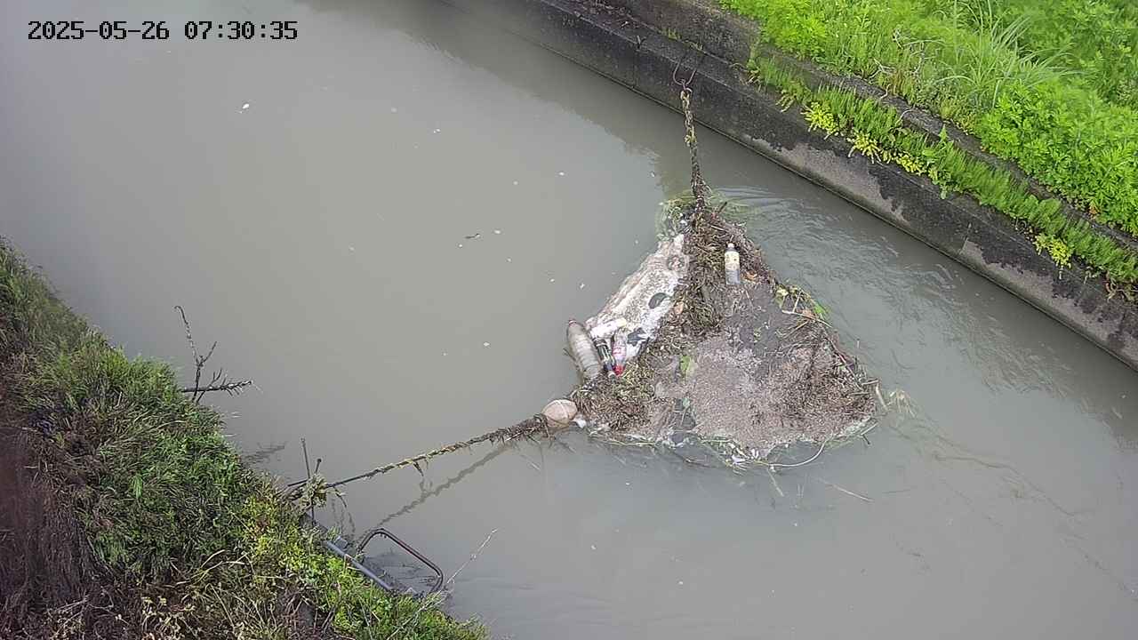 area10-20250526073035.jpg