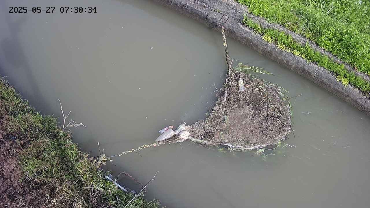 area10-20250527073035.jpg