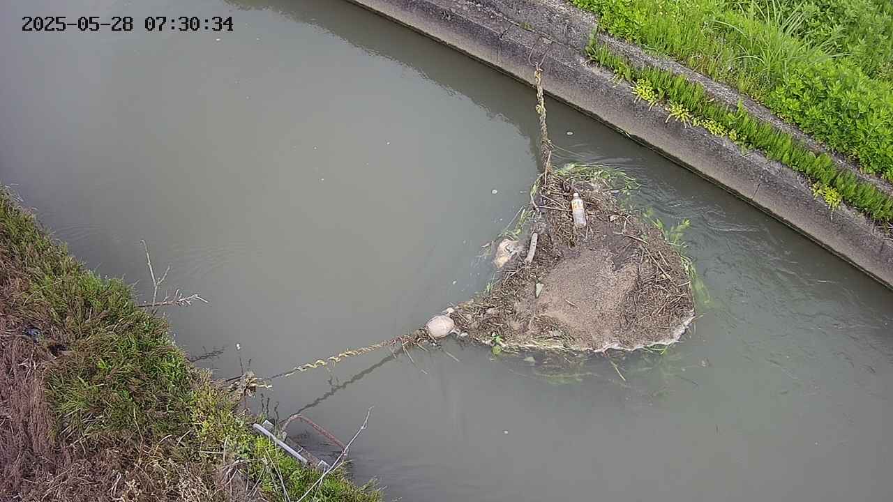 area10-20250528073035.jpg