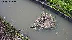 area10-20250528140036.jpg