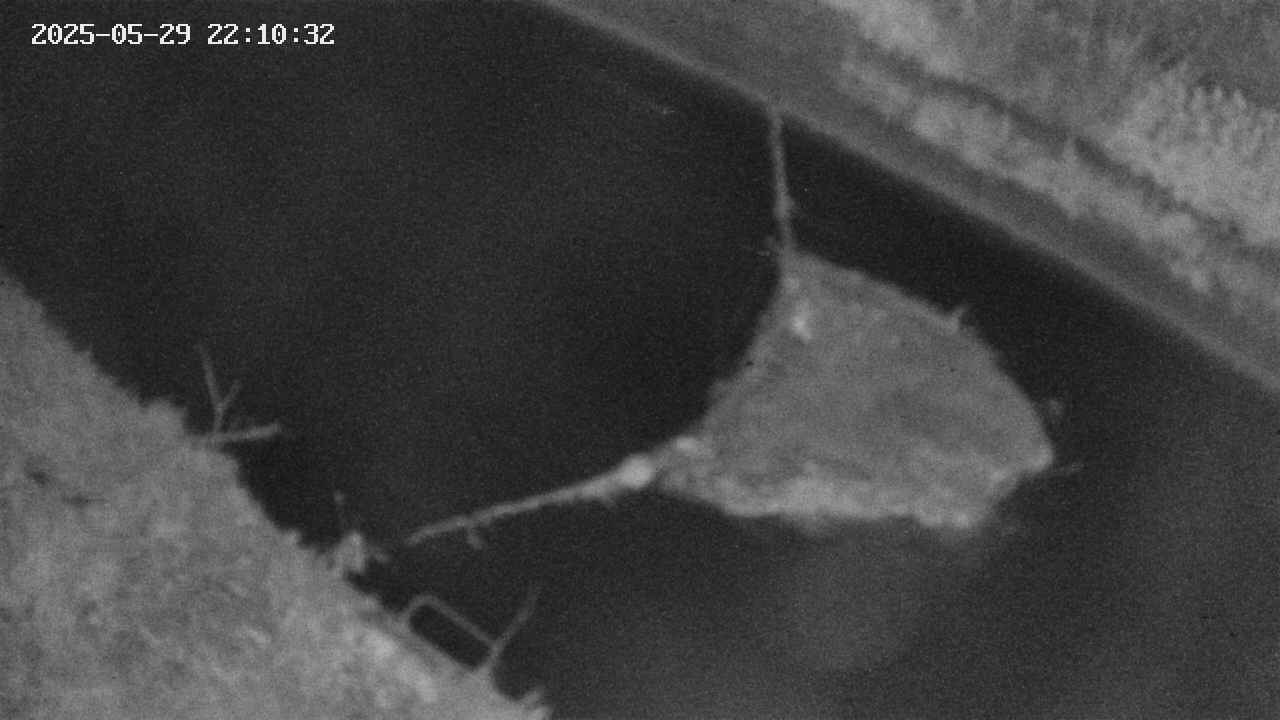 area10-20250529221033.jpg