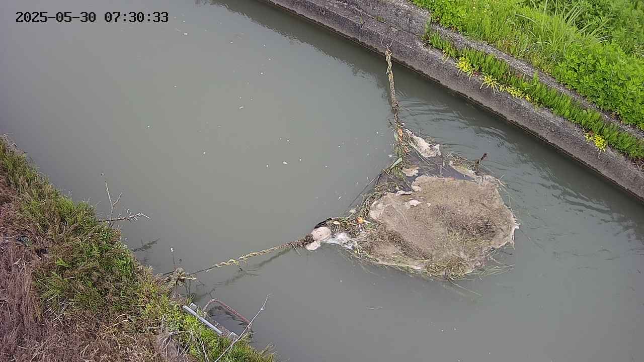 area10-20250530073034.jpg