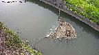 area10-20250602162035.jpg