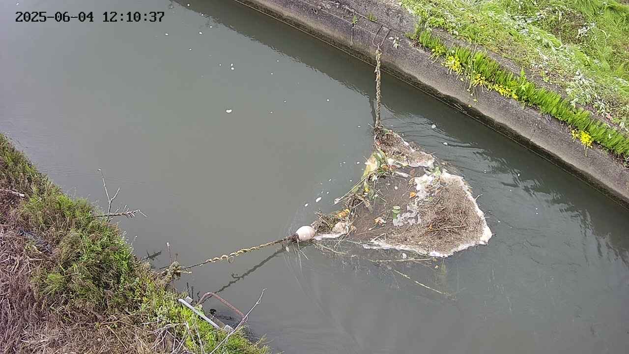 area10-20250604121039.jpg