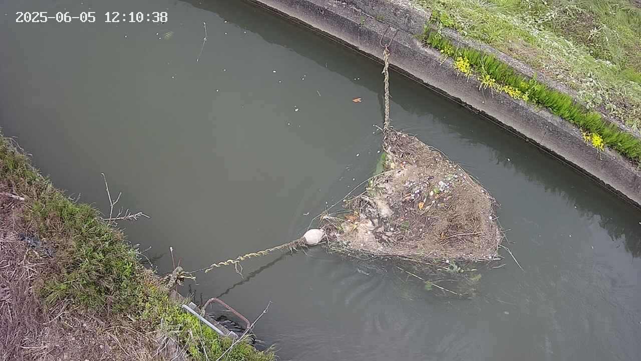 area10-20250605121043.jpg