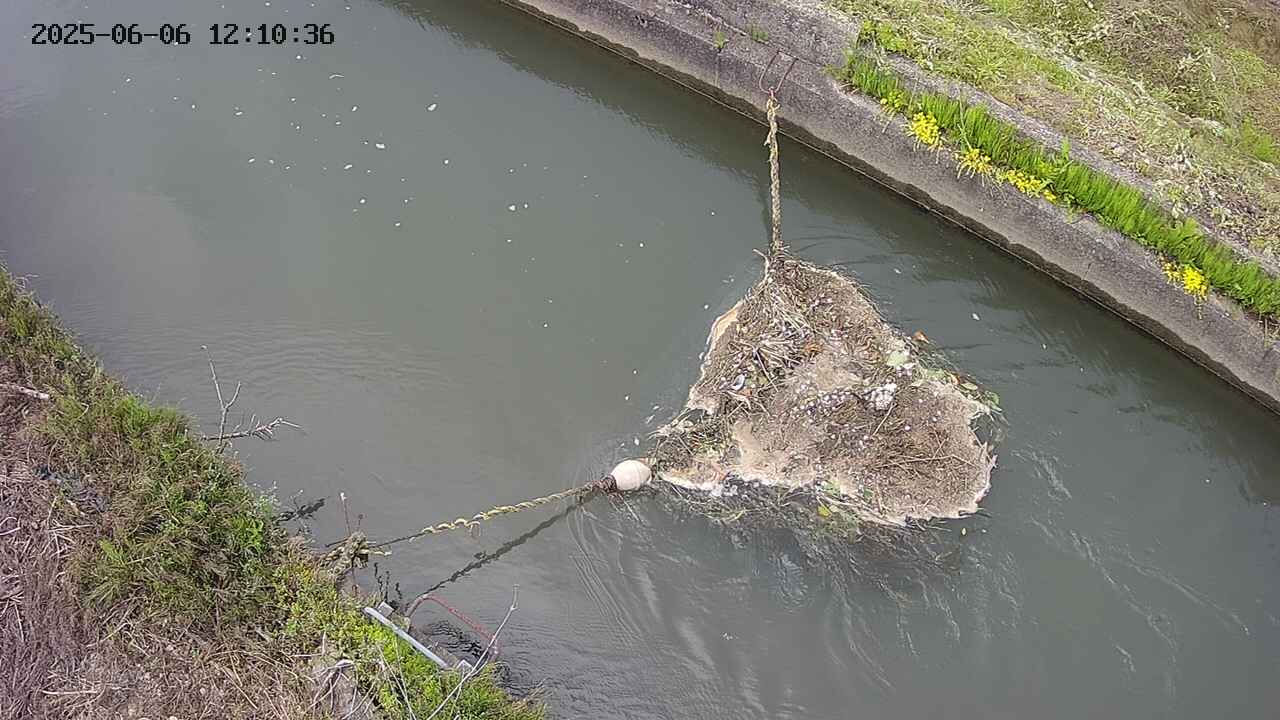 area10-20250606121038.jpg