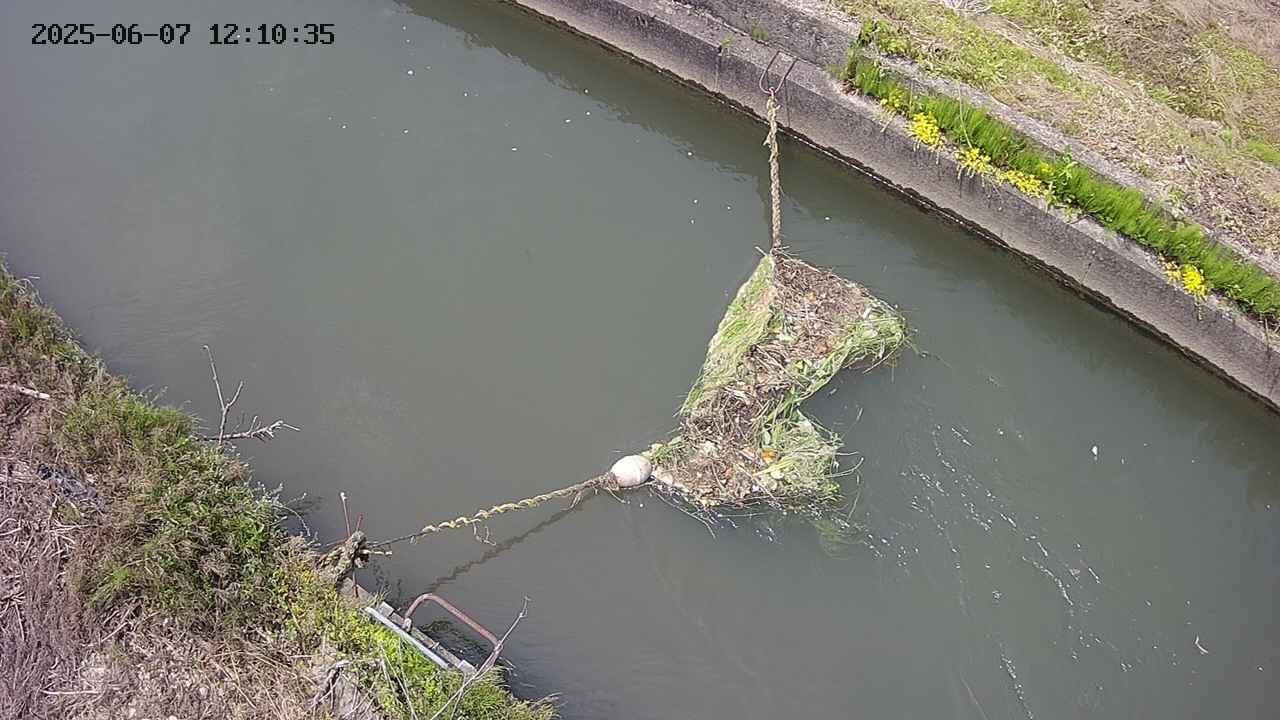 area10-20250607121036.jpg