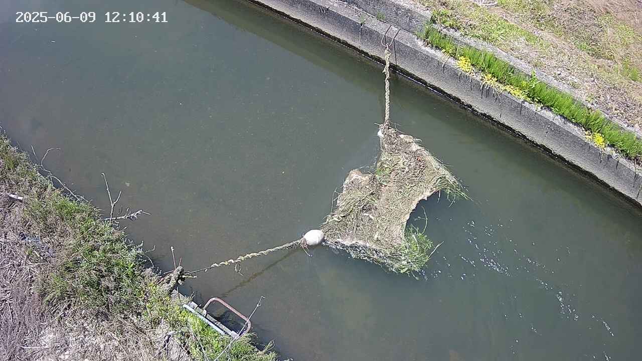area10-20250609121044.jpg