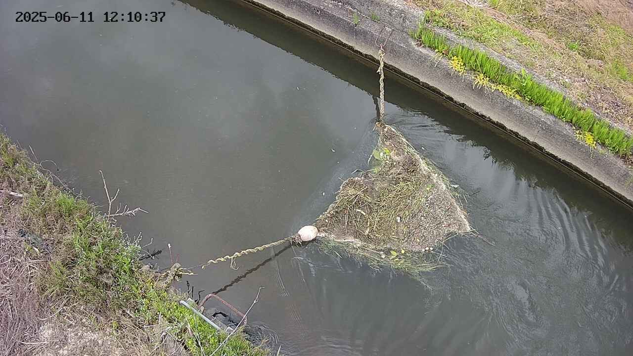 area10-20250611121038.jpg