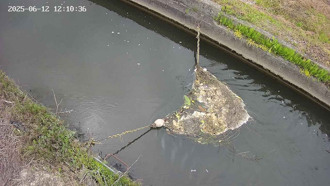 area10-20250612121038.jpg