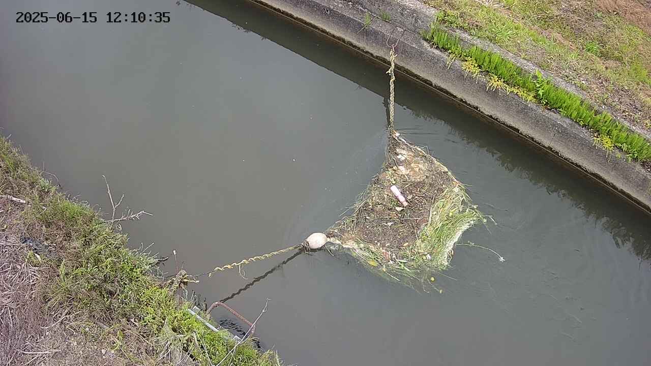area10-20250615121036.jpg