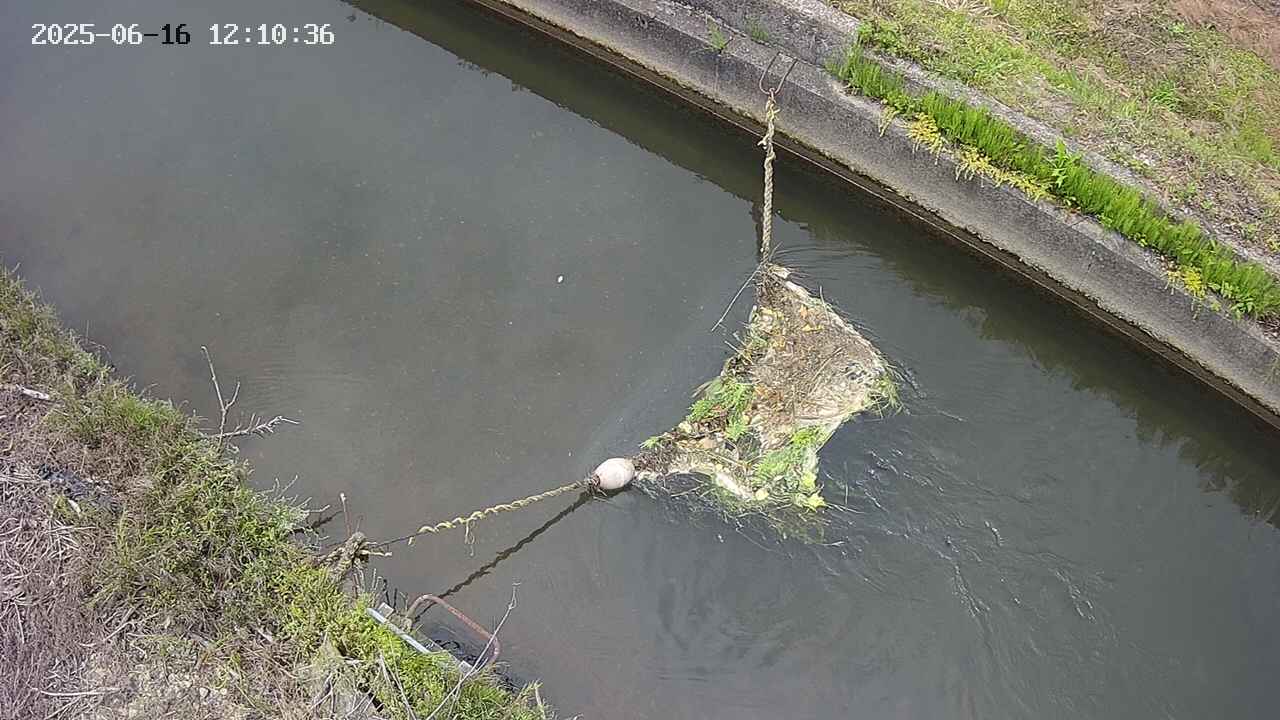 area10-20250616121036.jpg