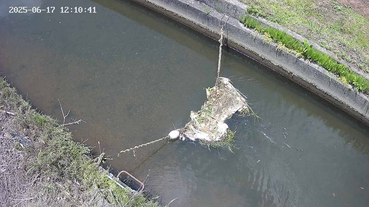 area10-20250617121043.jpg