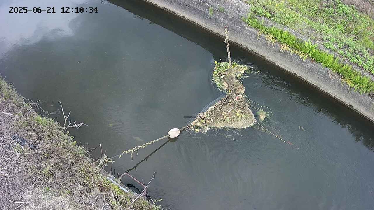 area10-20250621121034.jpg