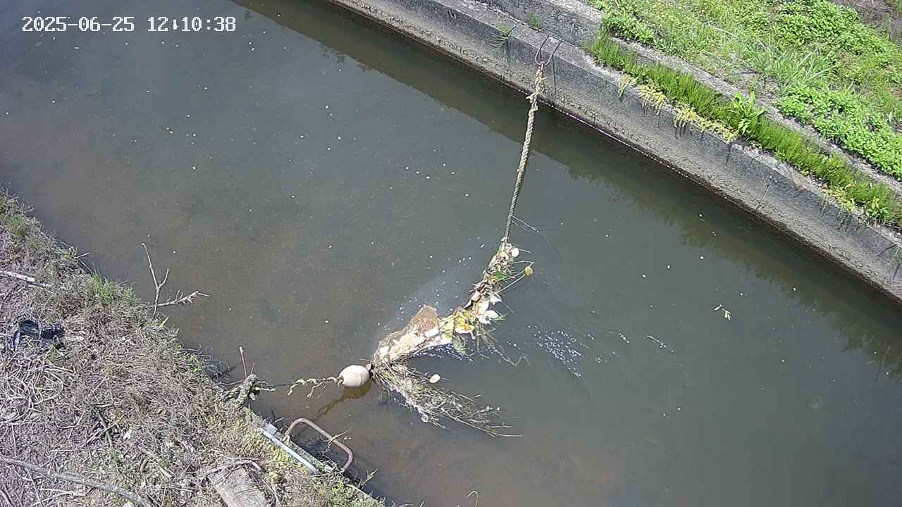 area10-20250625121041.jpg