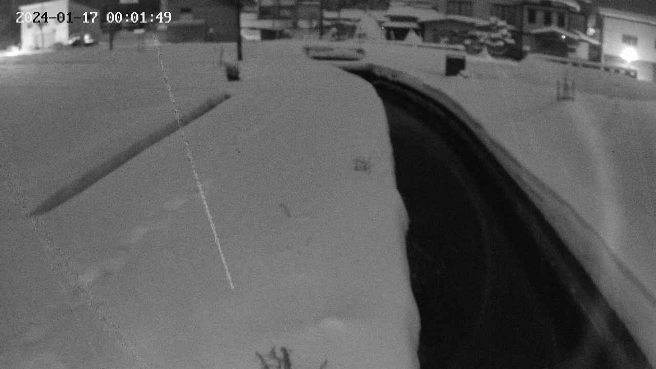 area11-20240117000150.jpg