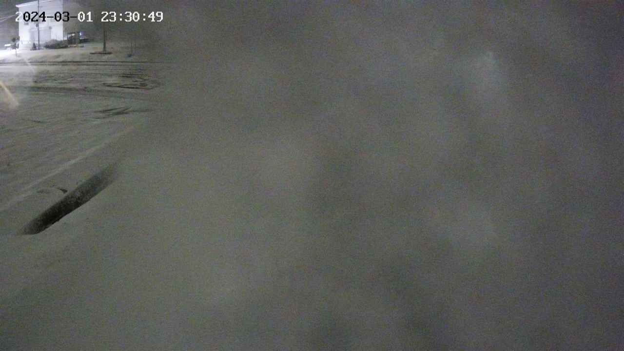 area11-20240301233050.jpg