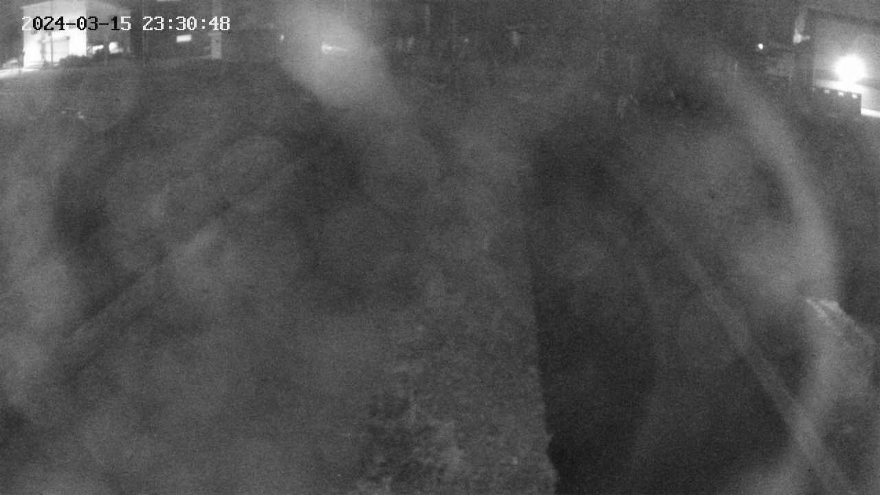 area11-20240315233048.jpg