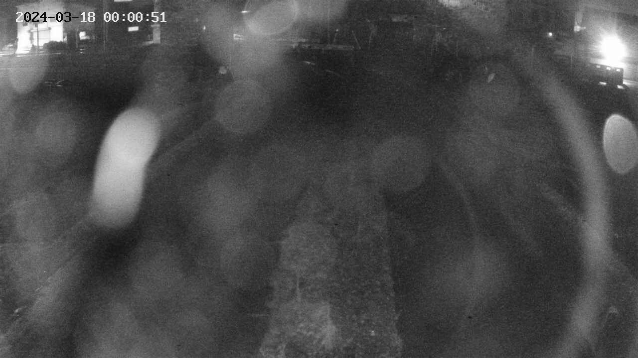 area11-20240318000051.jpg
