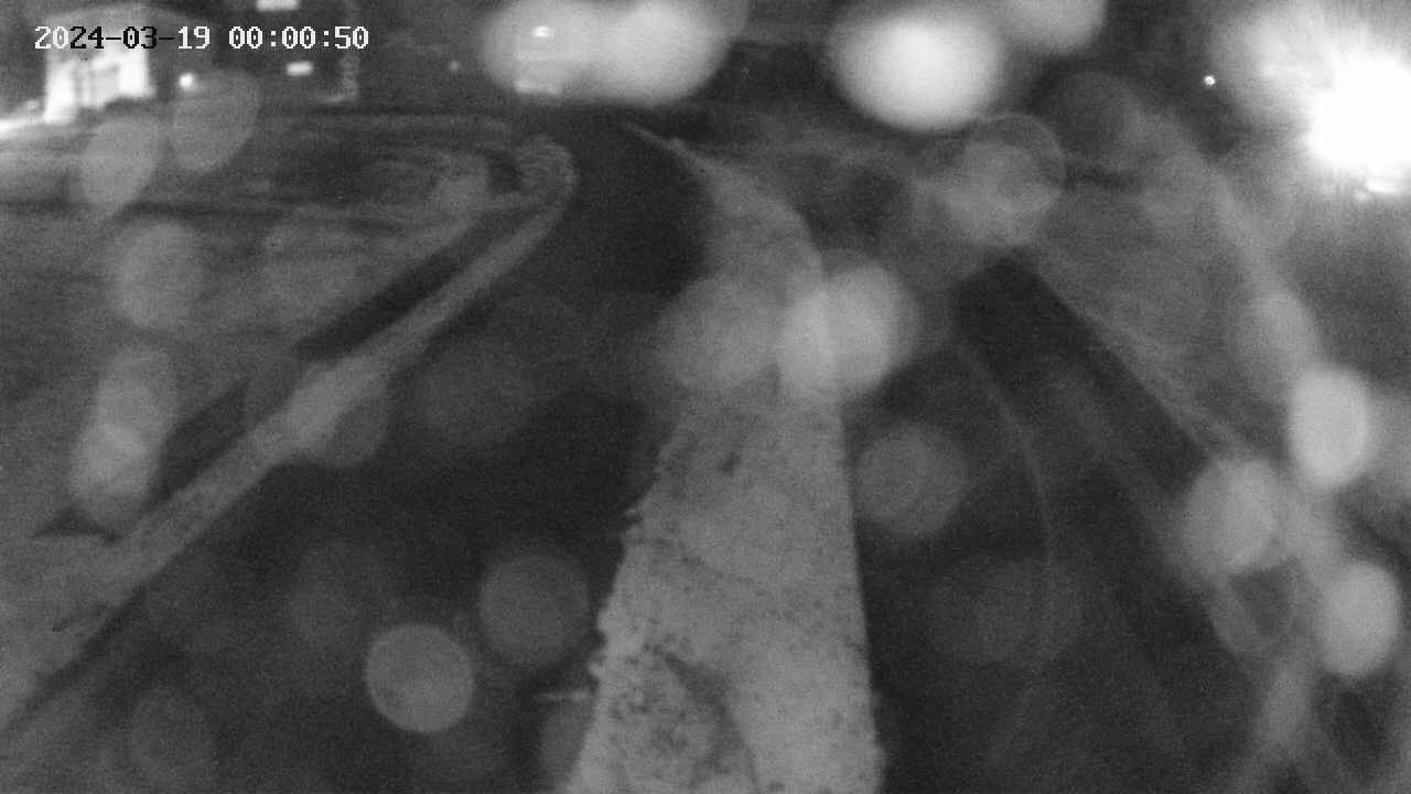 area11-20240319000051.jpg