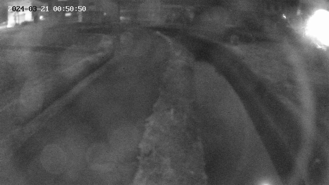 area11-20240321005051.jpg