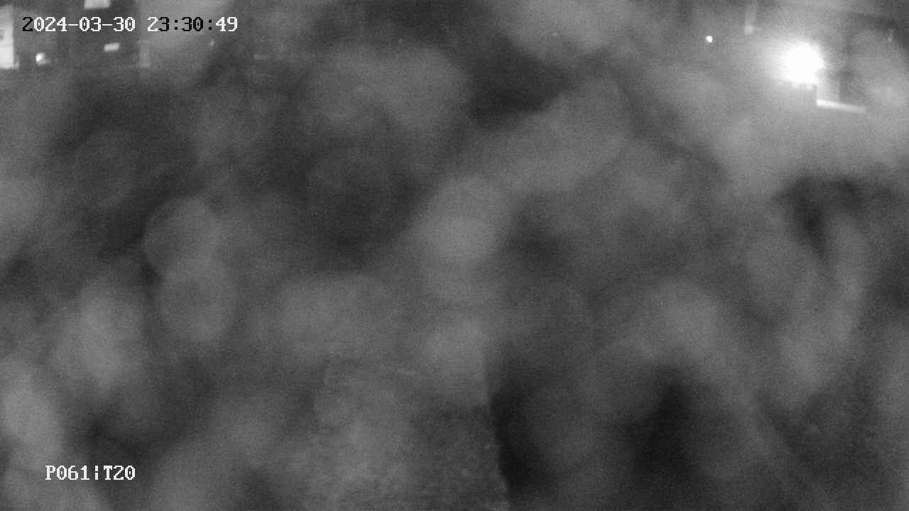 area11-20240330233050.jpg