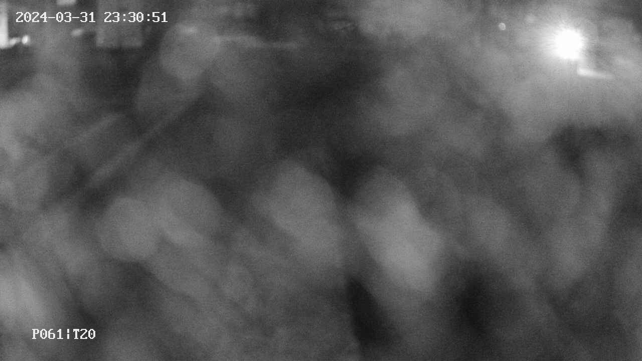 area11-20240331233051.jpg