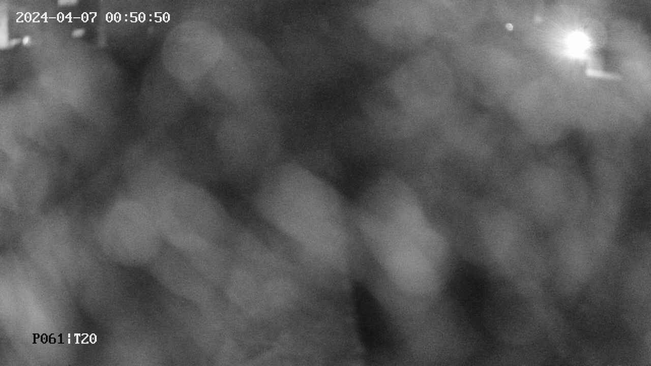 area11-20240407005051.jpg