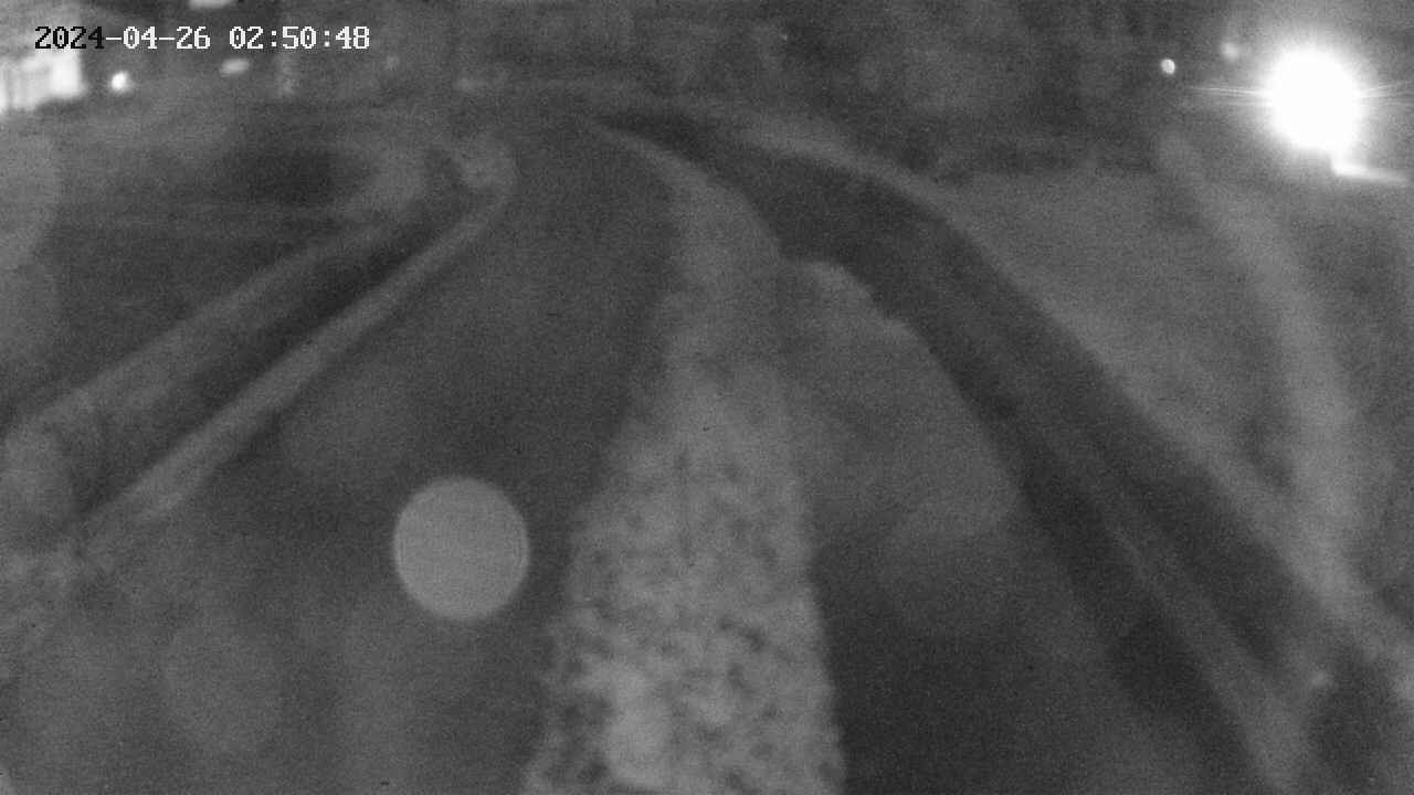 area11-20240426025049.jpg
