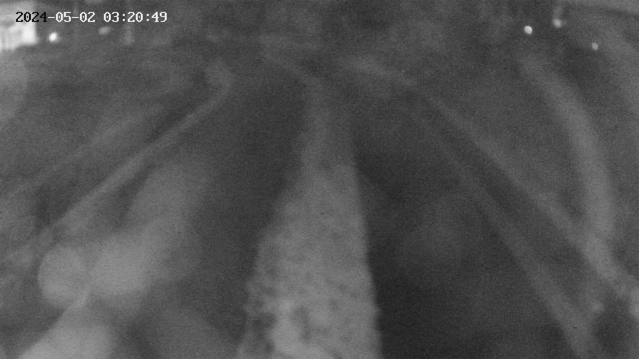 area11-20240502032050.jpg