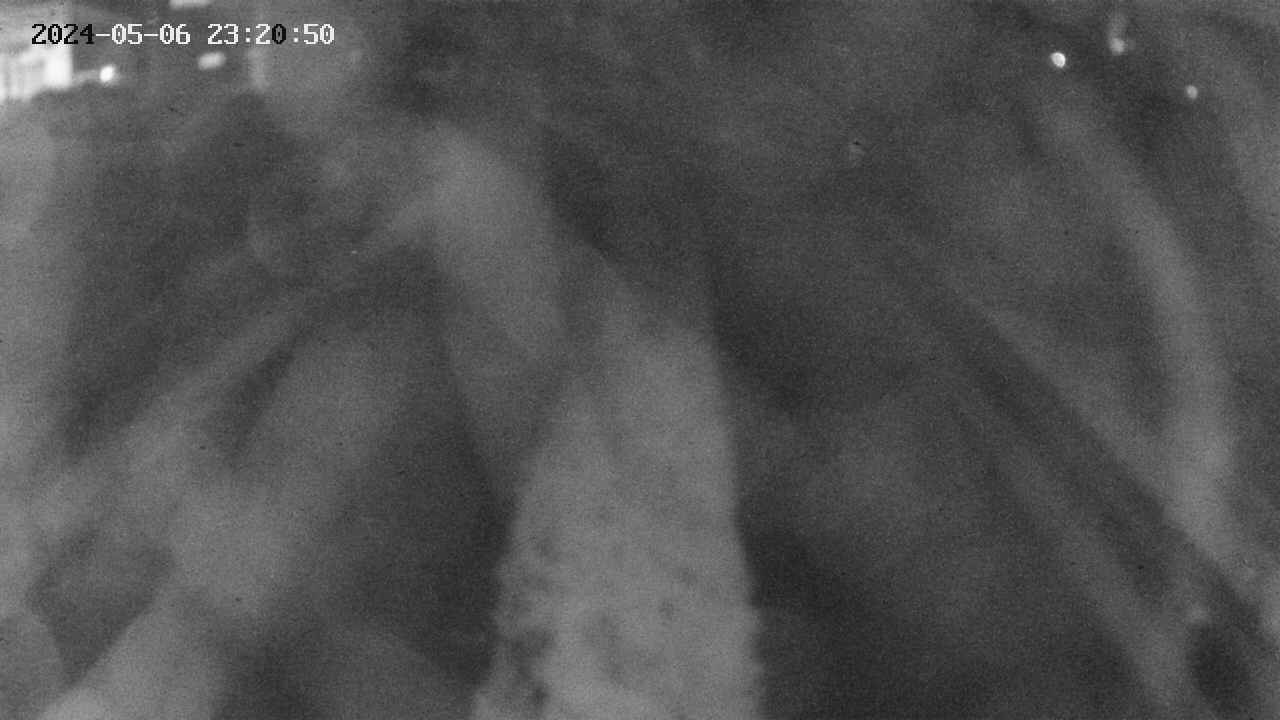 area11-20240506232051.jpg