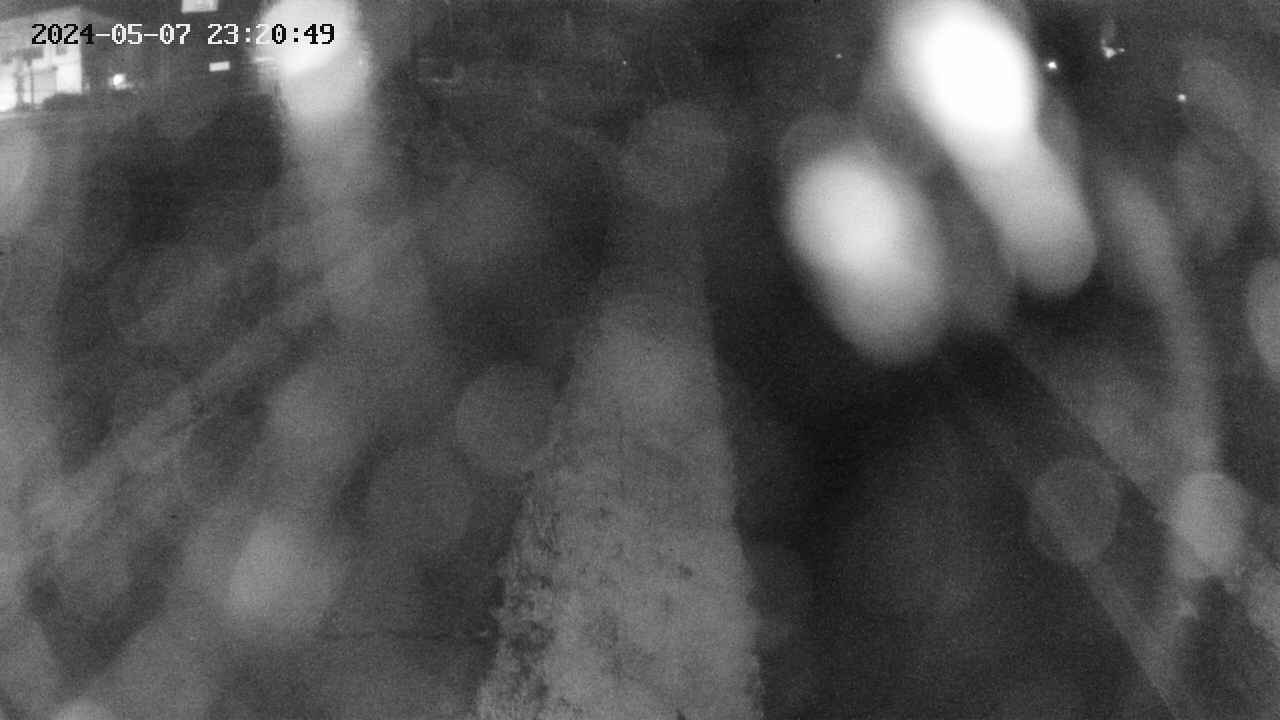 area11-20240507232050.jpg