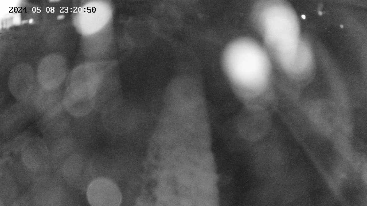 area11-20240508232050.jpg