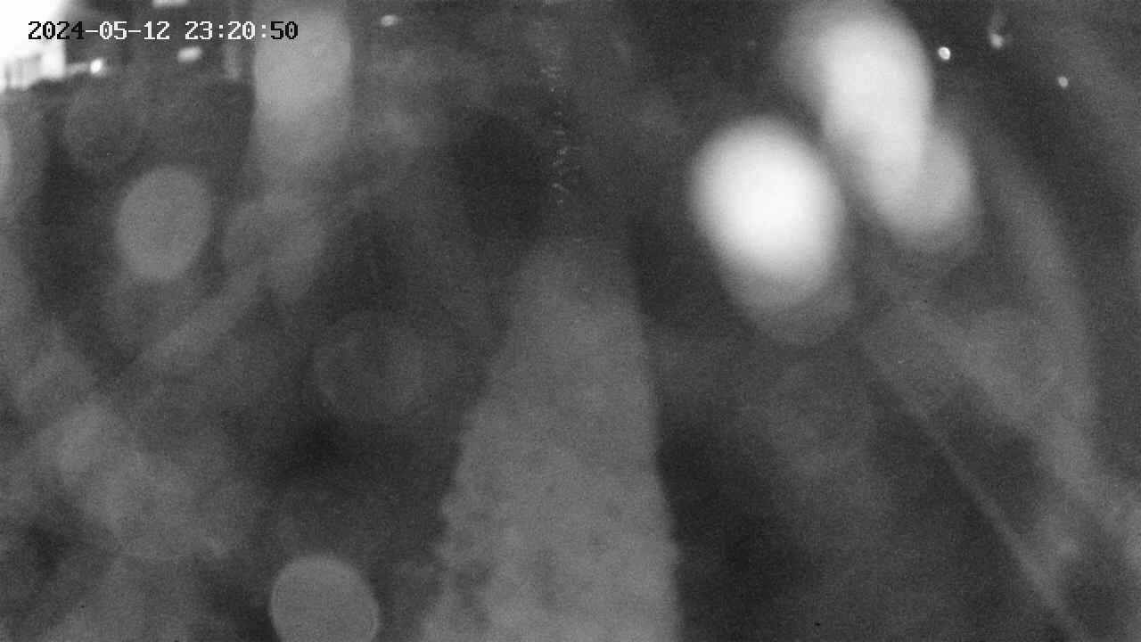 area11-20240512232050.jpg