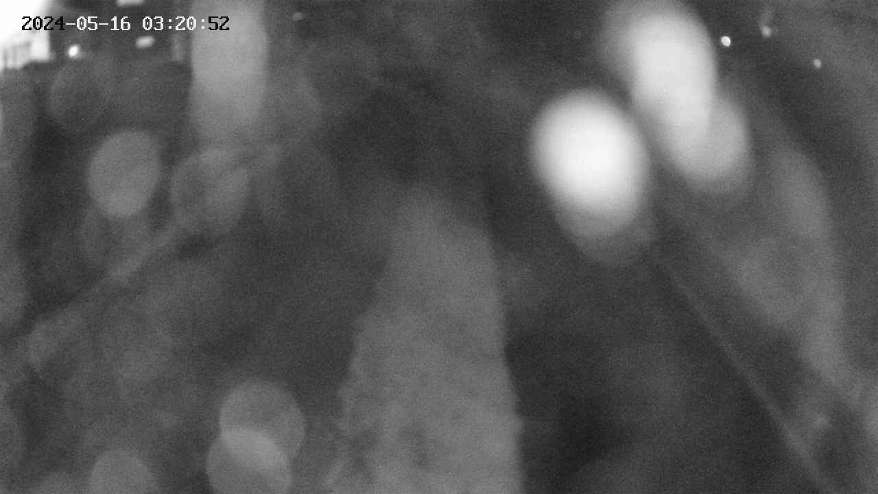 area11-20240516032052.jpg