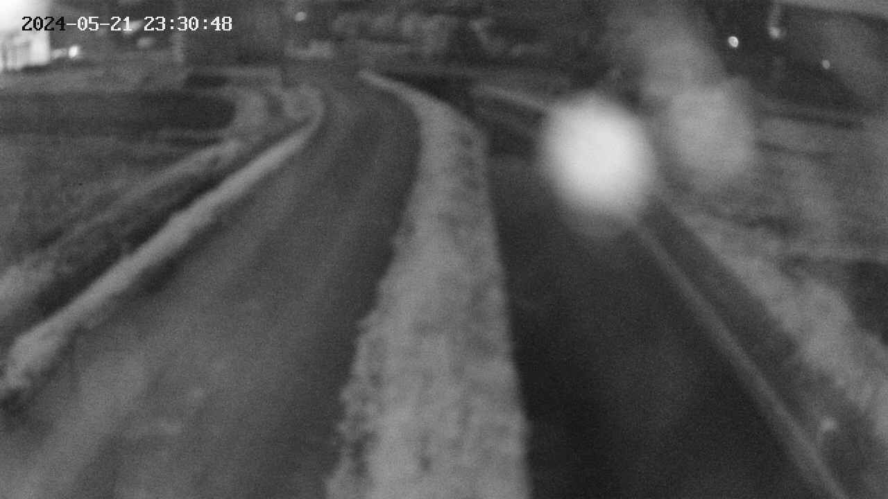 area11-20240521233048.jpg