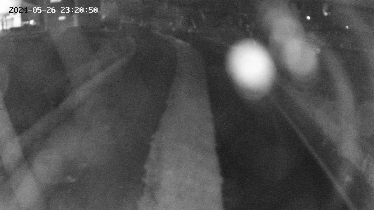 area11-20240526232050.jpg
