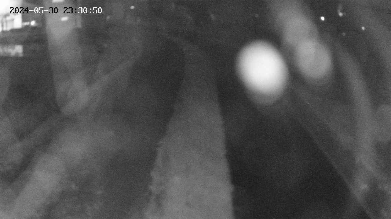 area11-20240530233050.jpg