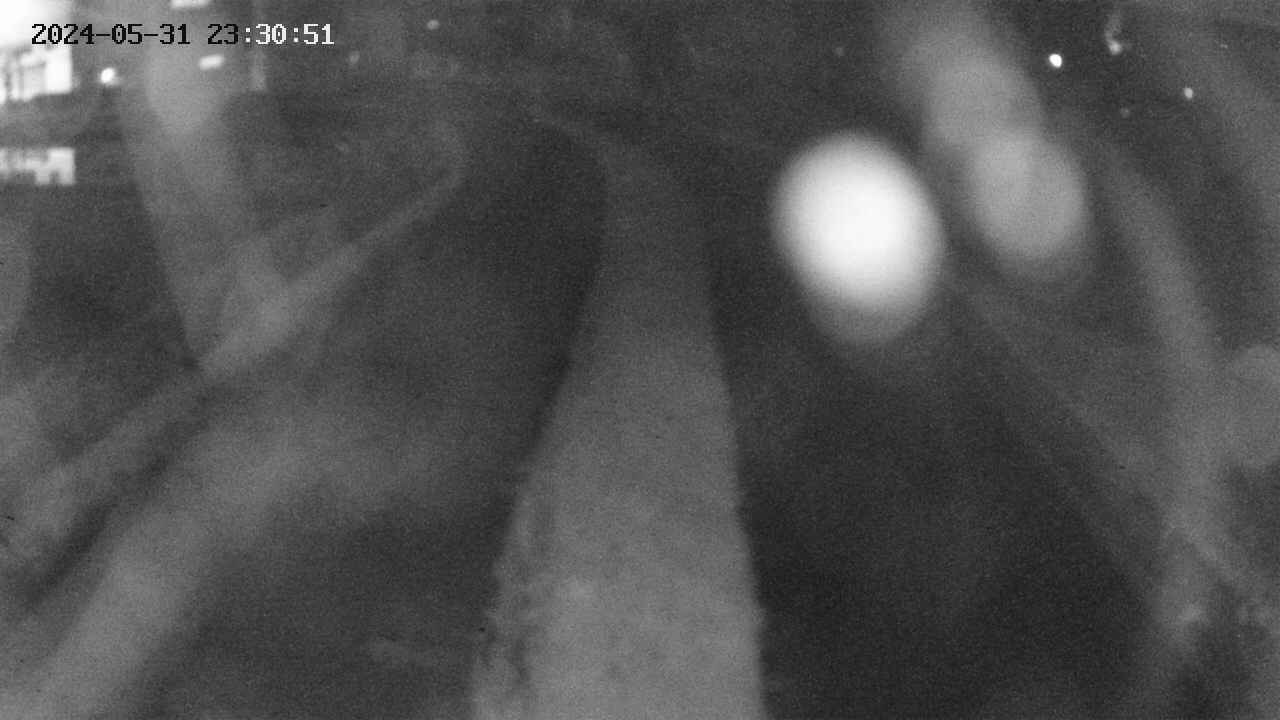 area11-20240531233052.jpg