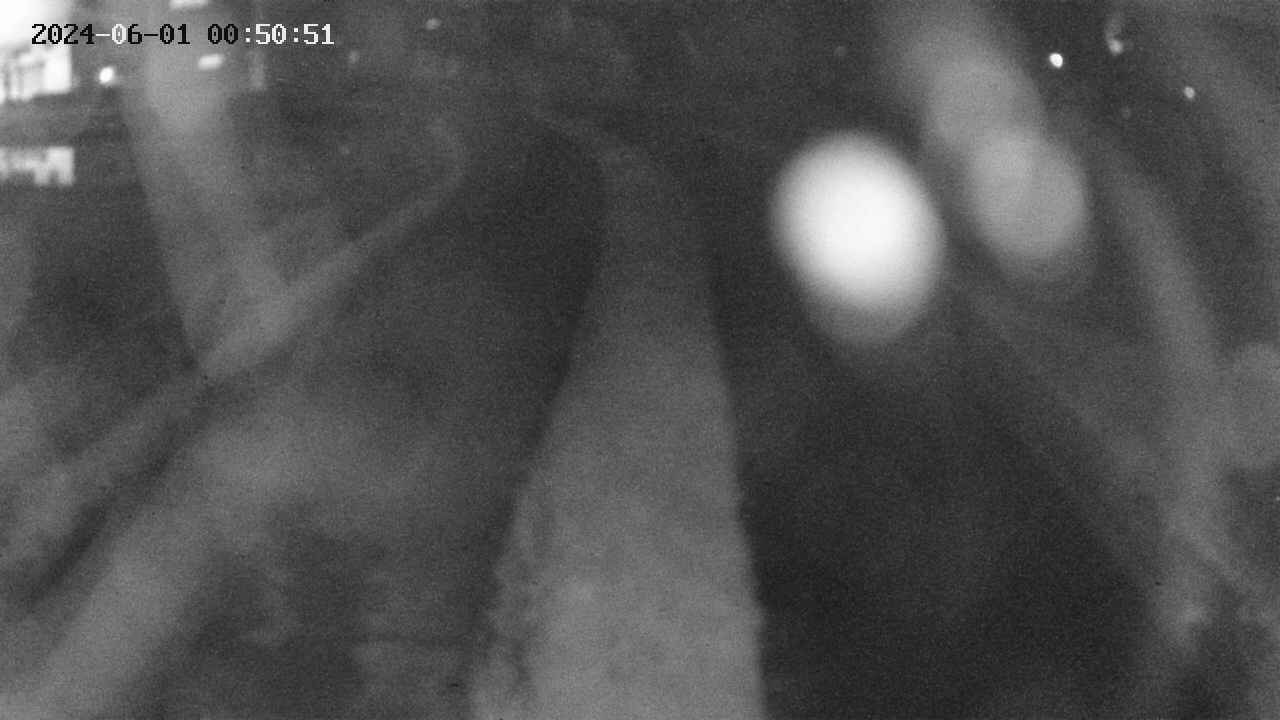 area11-20240601005052.jpg