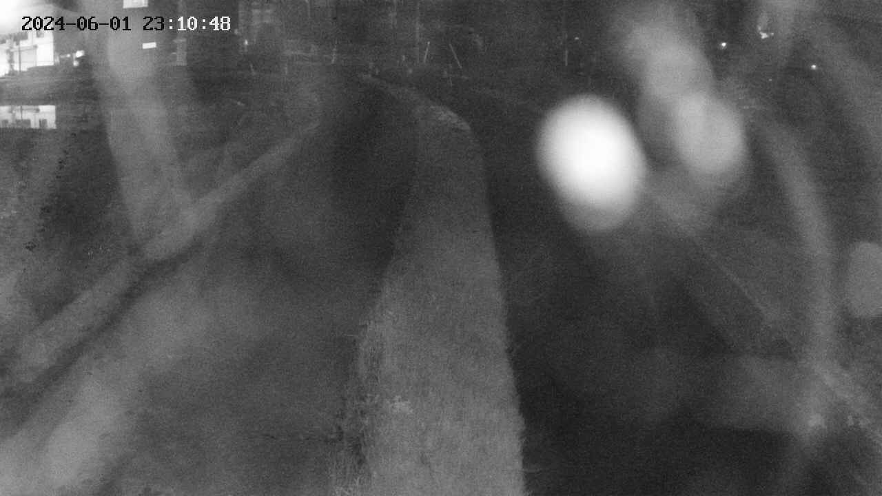 area11-20240601231049.jpg