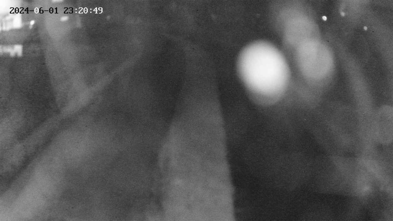 area11-20240601232050.jpg