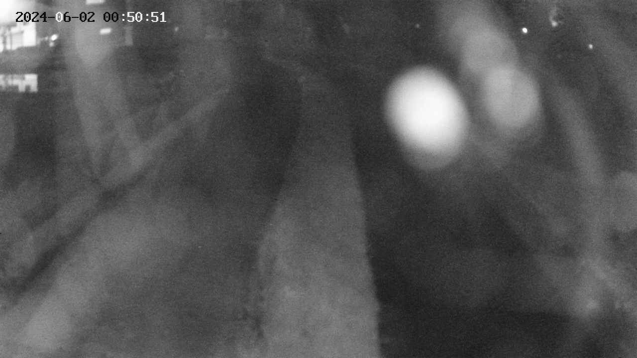area11-20240602005051.jpg