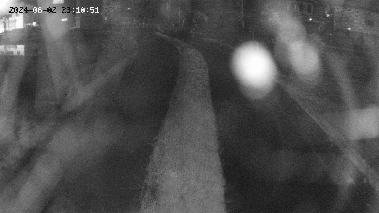 area11-20240602231052.jpg